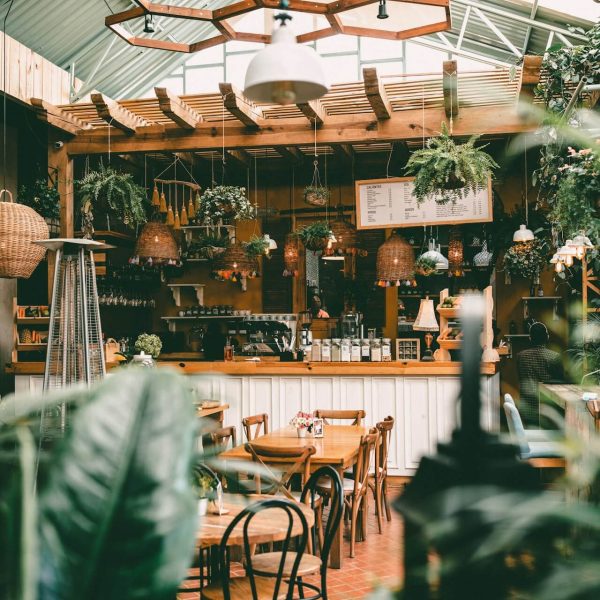 ruben-ramirez-xhKG01FN2uk-unsplash (1)